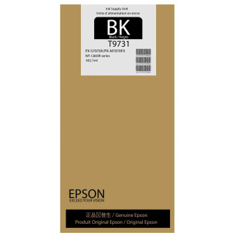 Originálna náplň EPSON T9731 (čierna)