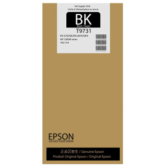 Originlna npl EPSON T9731 (ierna)