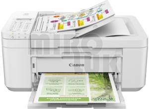 Canon Pixma TR 4651